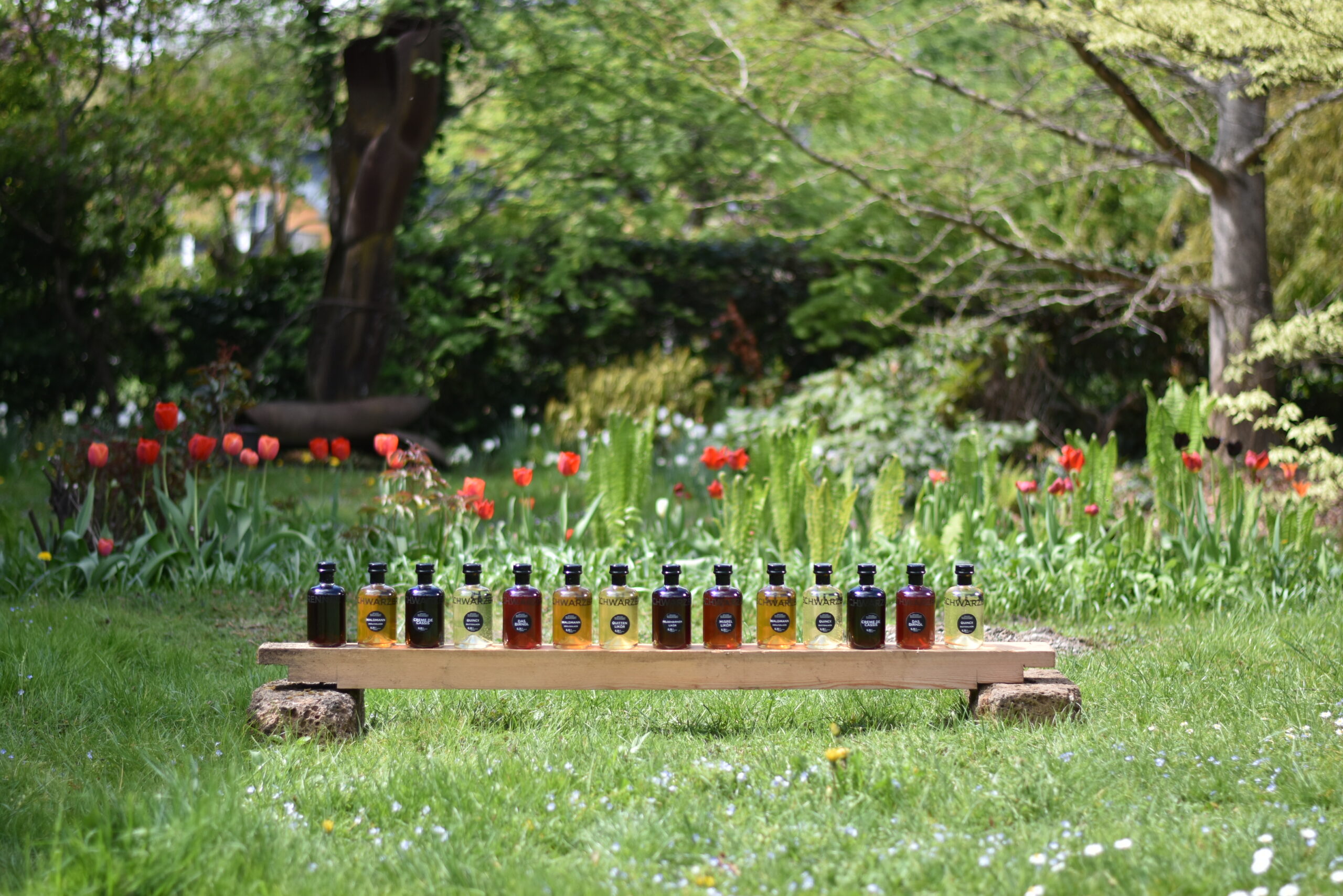 Likör Auf einer Holzlatte sind der Reihe nach verschiedene bunte Likörflaschen aufgestellt. Im Hintergrund ist eine Gartenszene
