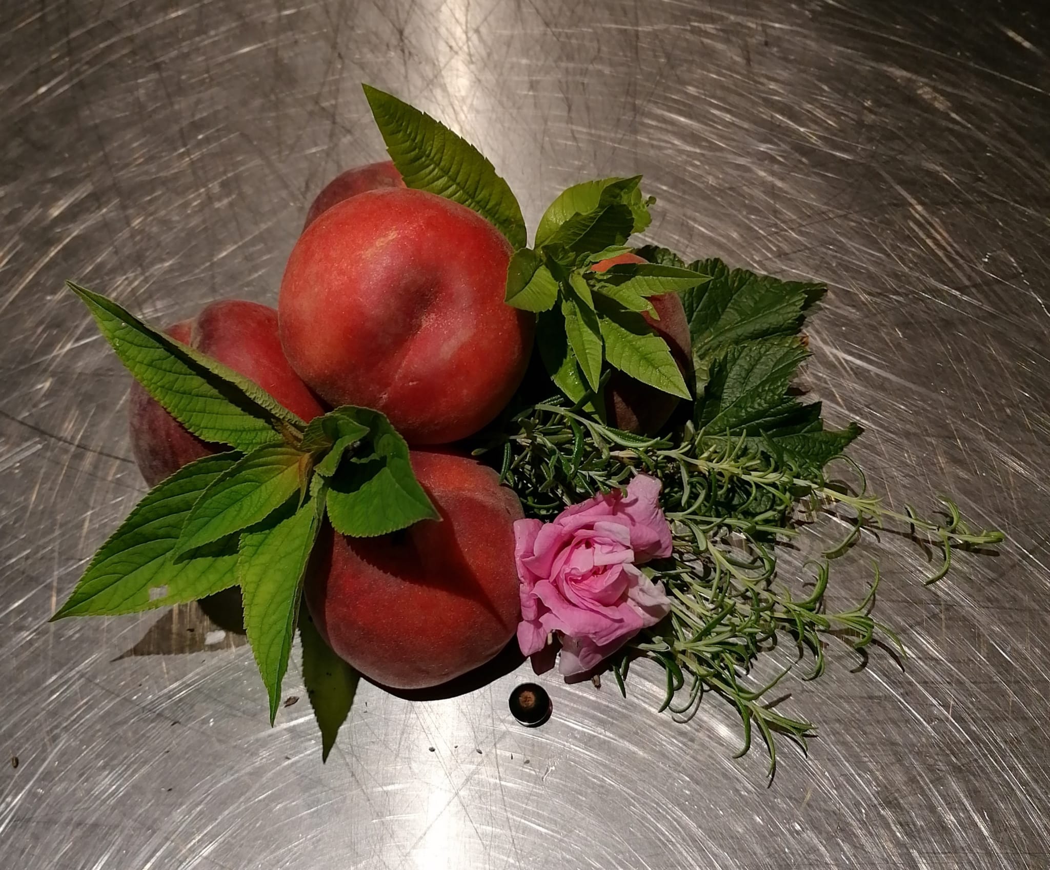 Auf einer Metalloberfläche liegen Früchte und Kräuter